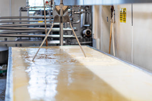 A Commitment to Sustainability at Renard's Cheese