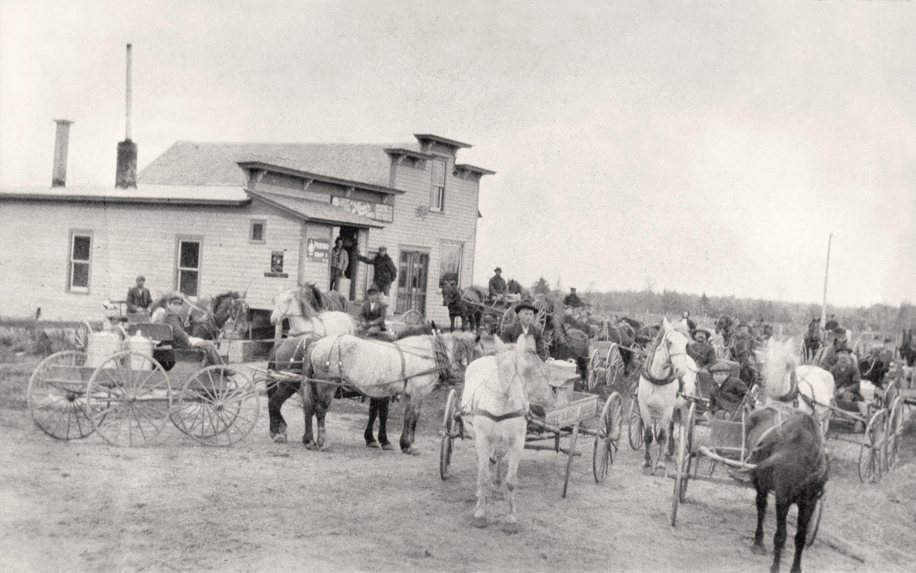 The Legacy of Renard’s Cheese: From Humble Beginnings to World-Class Quality