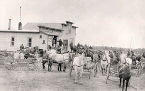 The Legacy of Renard’s Cheese: From Humble Beginnings to World-Class Quality