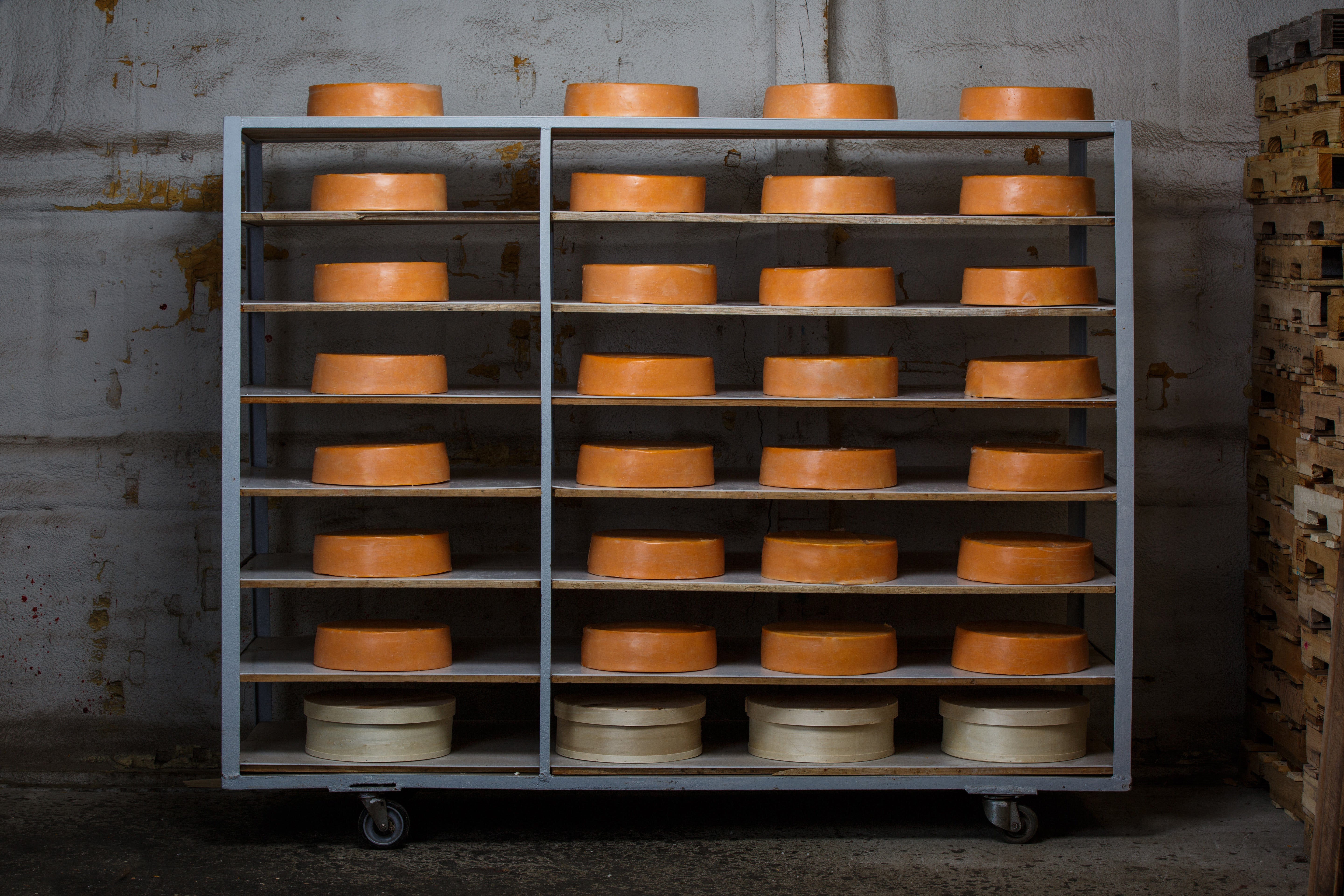 A Beginner's Guide to Aging Cheese