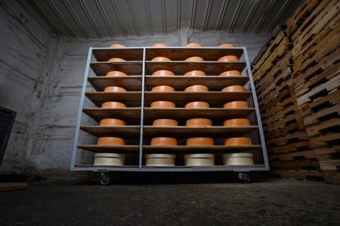 Shelf of aged cheese wheels in a cellar