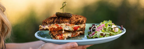 Person holding a plate with the Albacore Tuna Melt and salad against a blurred natural background